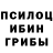 Псилоцибиновые грибы ЛСД Liubov Pporoshchuk