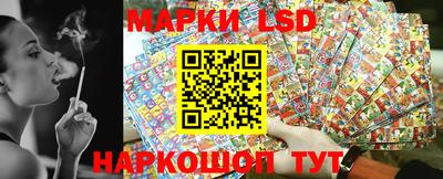 крисы Кулебаки