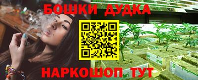 крисы Кулебаки