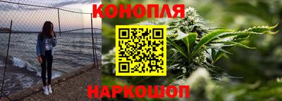 крисы Кулебаки