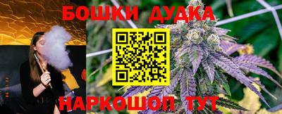 крисы Кулебаки