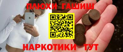 крисы Кулебаки
