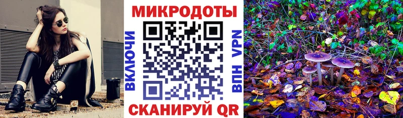 Псилоцибиновые грибы Cubensis  дарнет шоп  MEGA   Сургут 