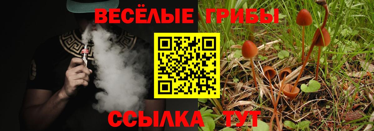Галлюциногенные грибы GOLDEN TEACHER Сургут