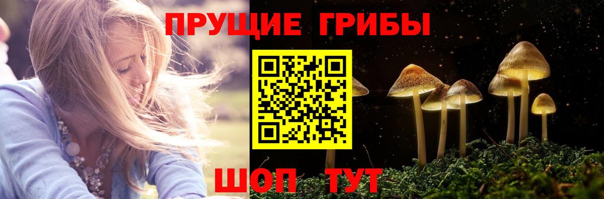Псилоцибиновые грибы мицелий  где найти наркотики  Сургут  Вход с VPN 